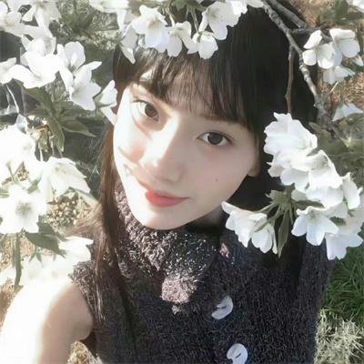 冰海战记第一季